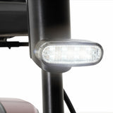 The Go-Go Endurance - Lithium Full Suspension 4mph Boot Scooter