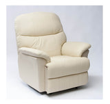 The Lars Dual Motor - Rise & Recline Armchair