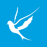 Wheelchair Insurance