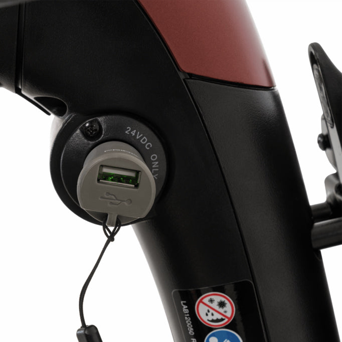 The Go-Go Endurance - Lithium Full Suspension 4mph Boot Scooter